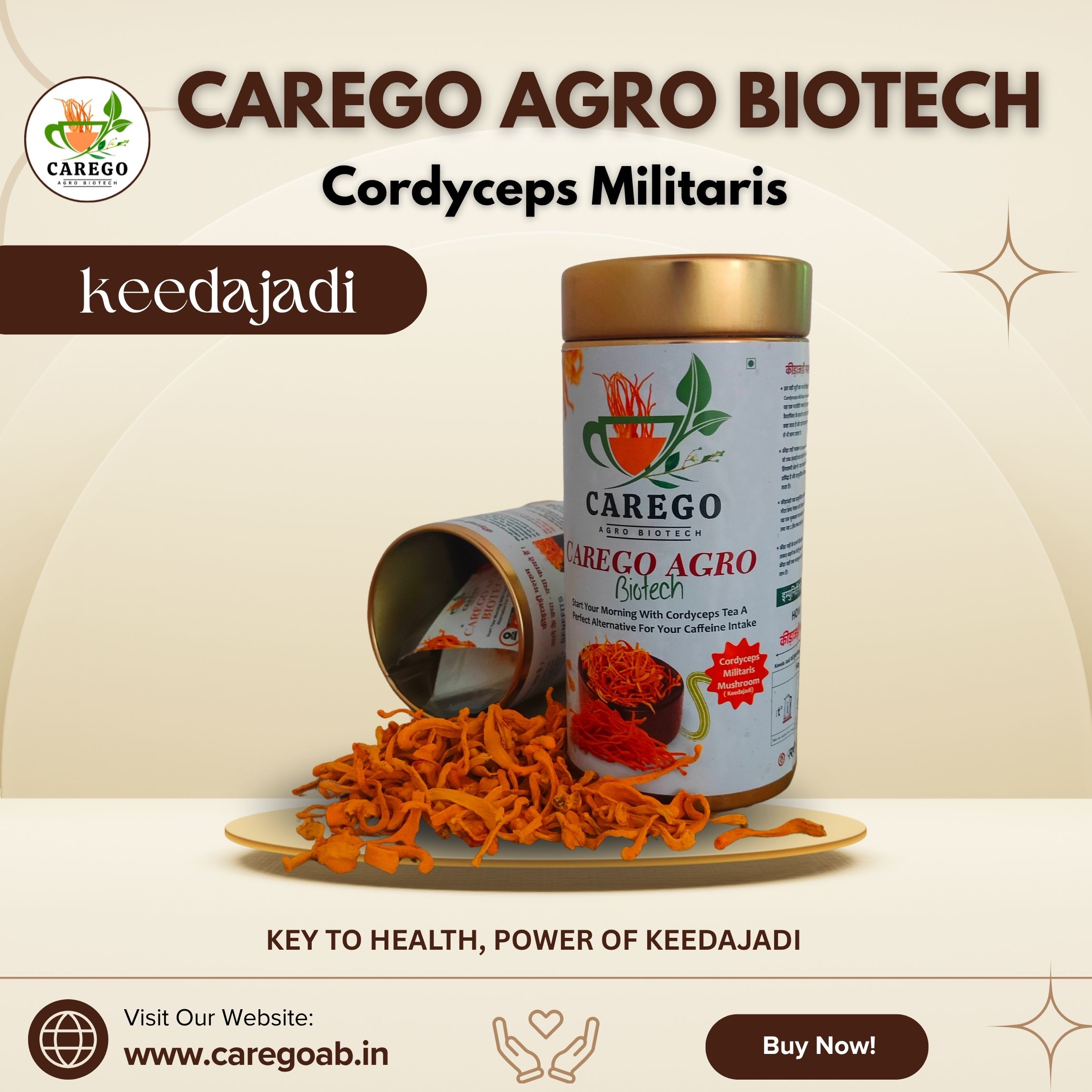 Cordyceps Militaris | Keedajadi Cordyceps Militaris